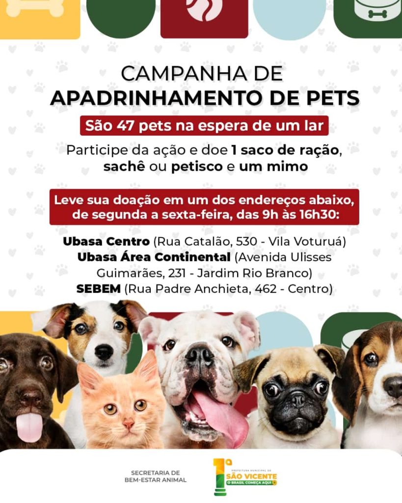 Campanha de apadrinhamento de pets arrecada ração para animais em adoção, em SV