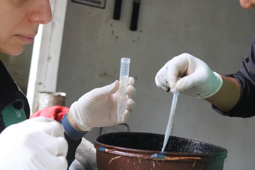 Santos atualiza plano para conter dengue e chikungunya em 2025