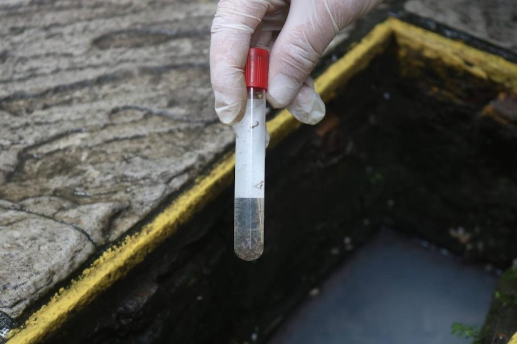 Último mutirão contra o Aedes do ano vai para o bairro Boqueirão