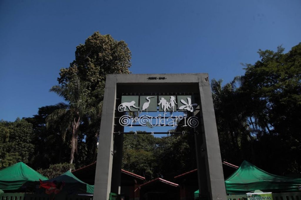 Orquidário promove atividades especiais para as crianças nos fins de semana