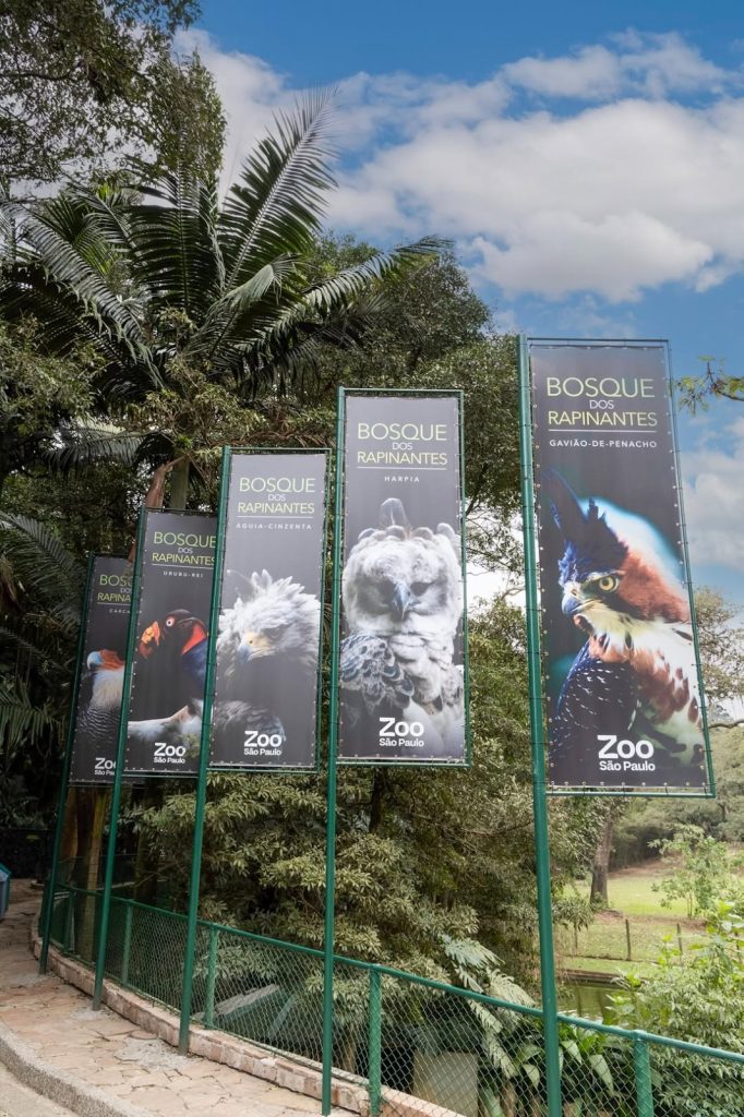 Confira opções de lugares para visitar durante as férias