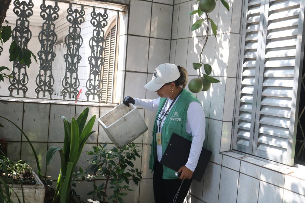 Santos intensifica combate ao Aedes aegypti com mutirões e ações até o carnaval