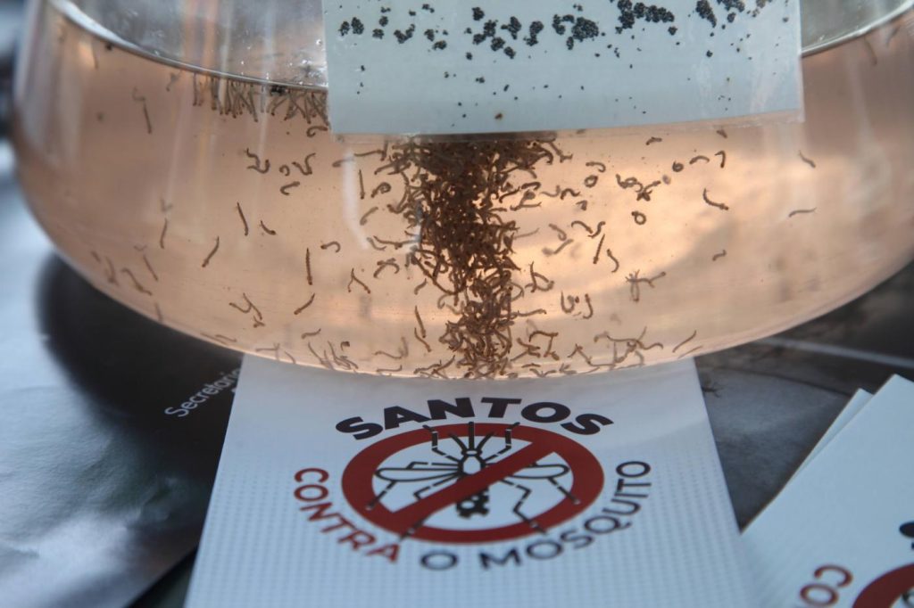 Mobilização contra o Aedes aegypti vai ao bairro do Marapé, em Santos