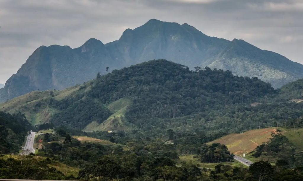 SOS Mata Atlântica une setor privado para conservação do bioma