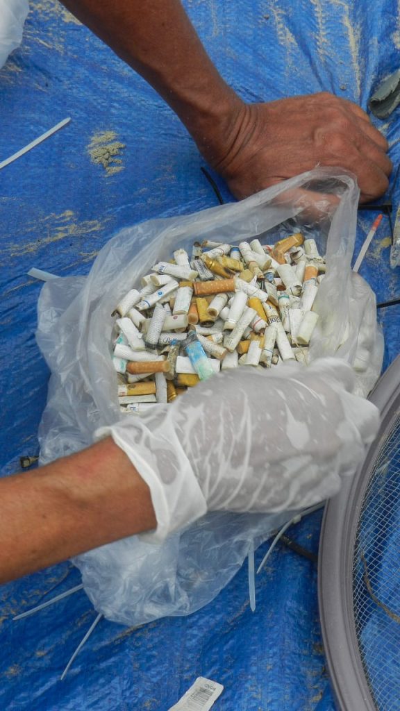 Monitoramento encontra mais de 18 mil fragmentos de microlixo na Praia de Santos