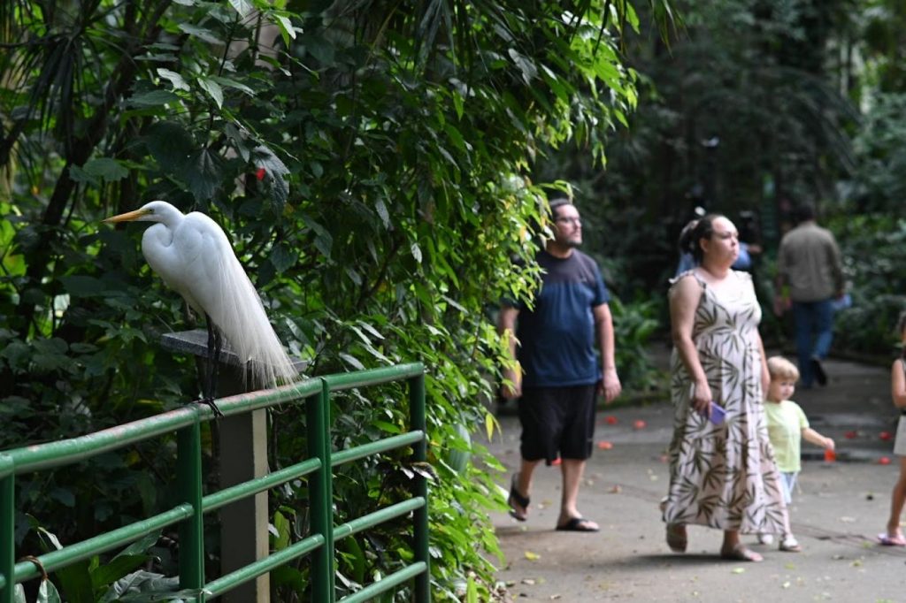 Santos fica entre as cinco melhores do Estado em ranking de sustentabilidade