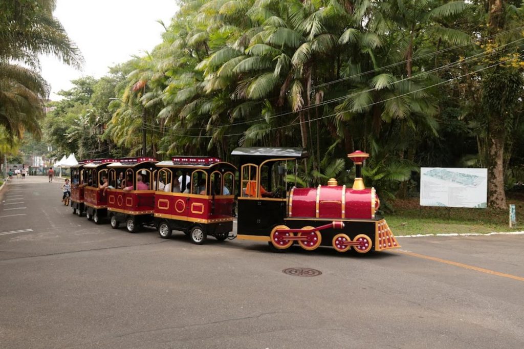 Trenzinhos e simuladores divertem santistas e turistas até domingo