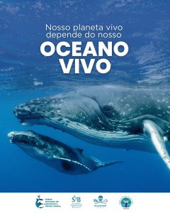Evento promove debate sobre a relação humana com a fauna aquática