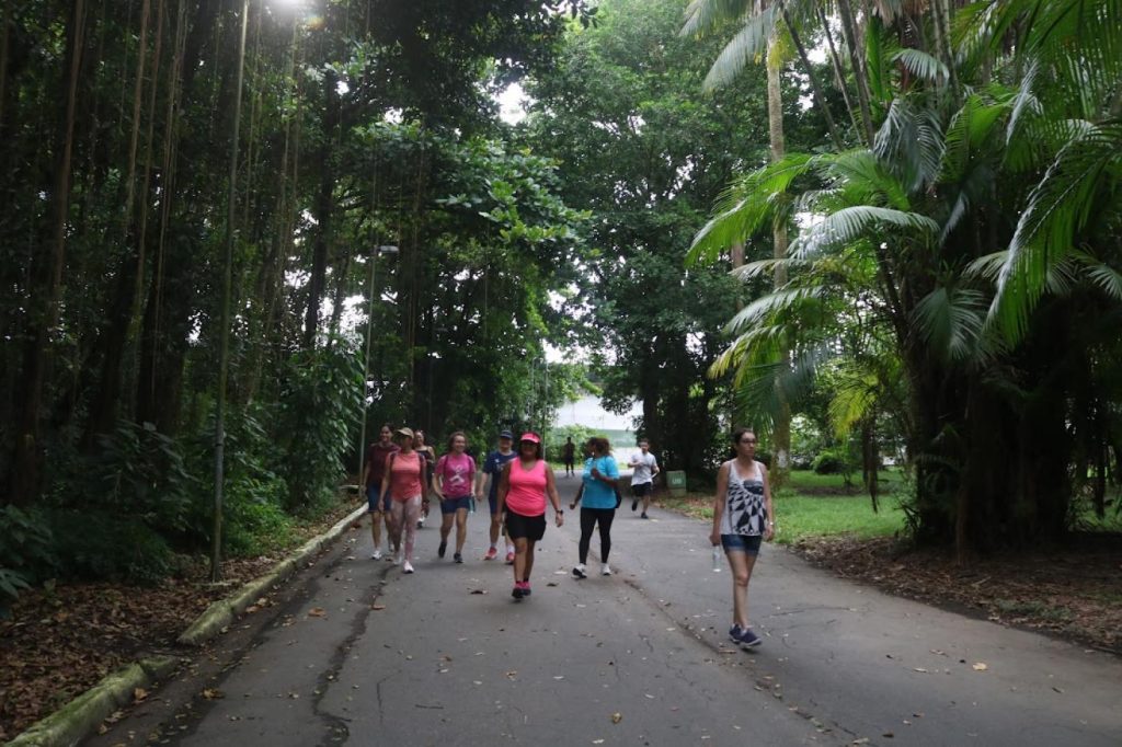 Walking Tour na Zona Noroeste convida público a conhecer história e natureza