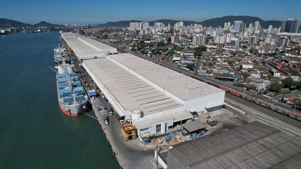 Suzano atinge recorde com mais de 5,8 mi de toneladas de celulose embarcadas