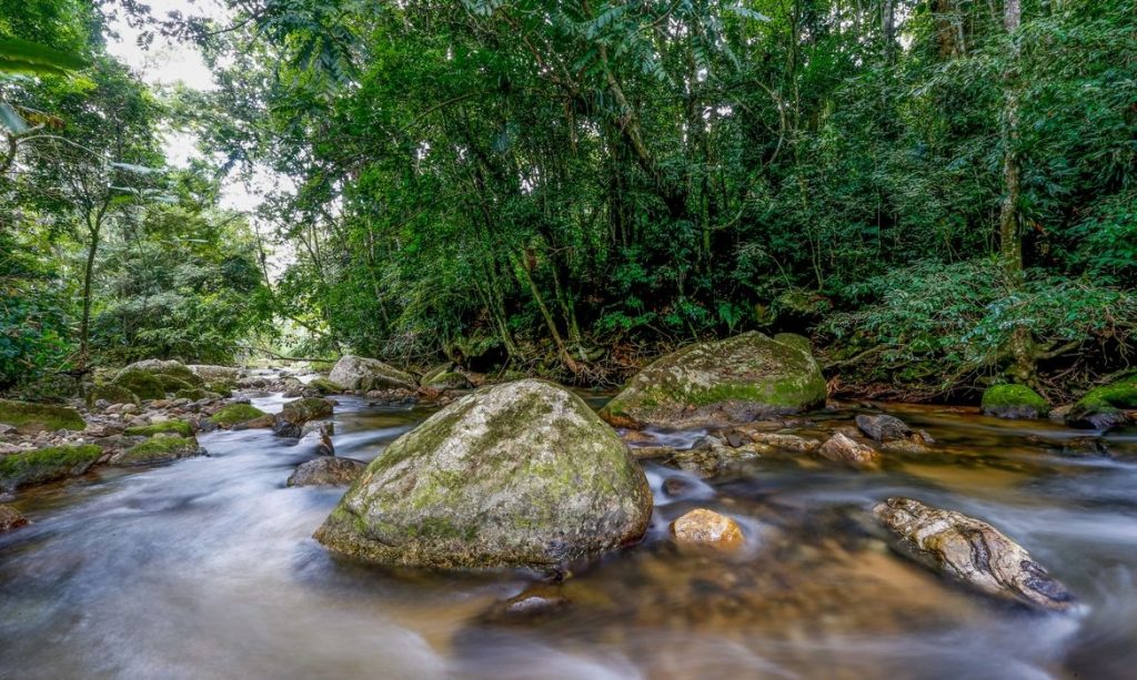 Plano busca fortalecer Sistema Nacional do Meio Ambiente até 2036
