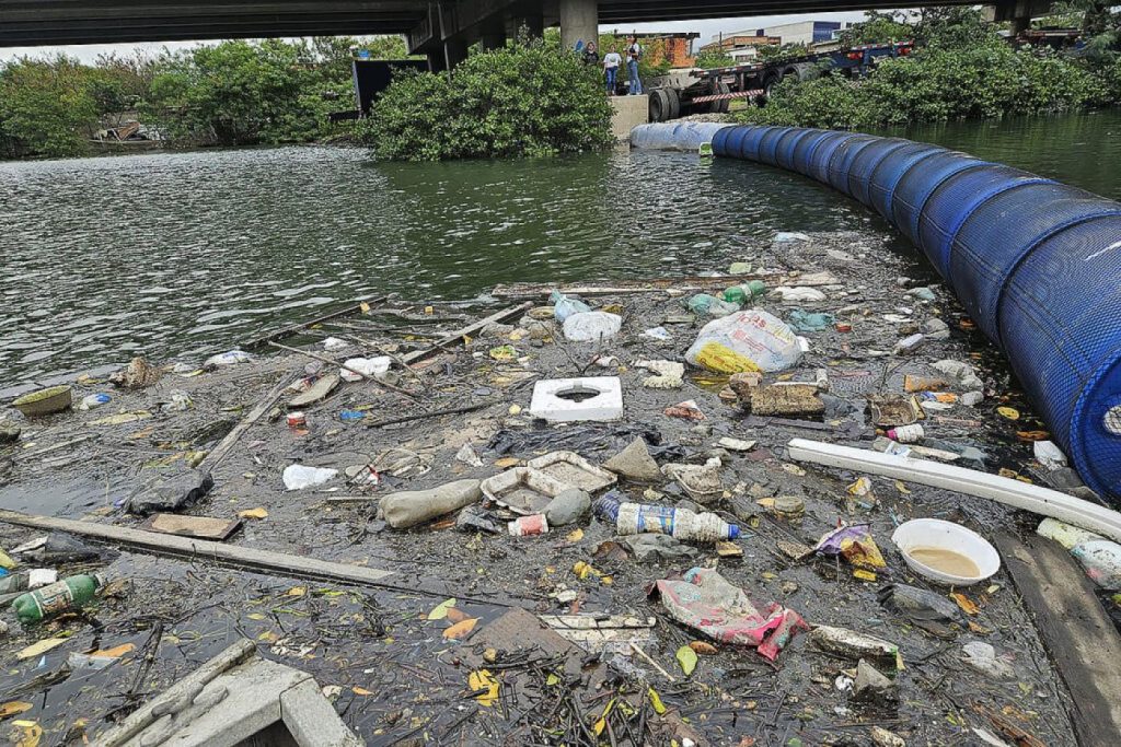 Zona Noroeste de Santos ganha nova ecobarreira e outras ações ambientais