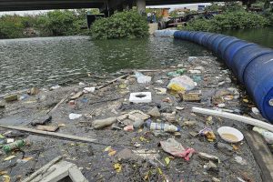 Zona Noroeste de Santos ganha nova ecobarreira e outras ações ambientais