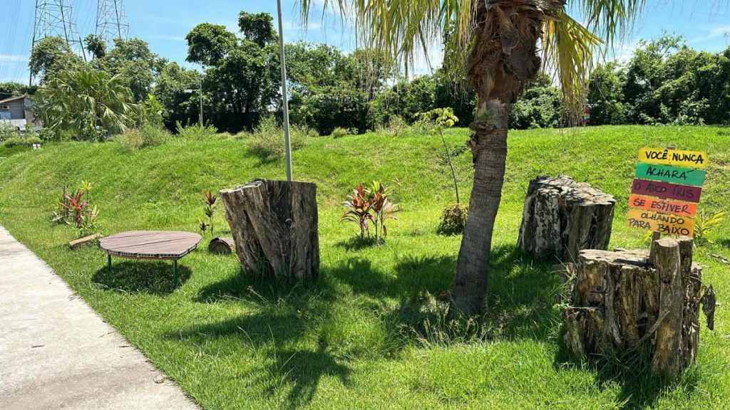 Parque dos Mangues-Ecofábrica de Santos se destaca em prêmio de sustentabilidade