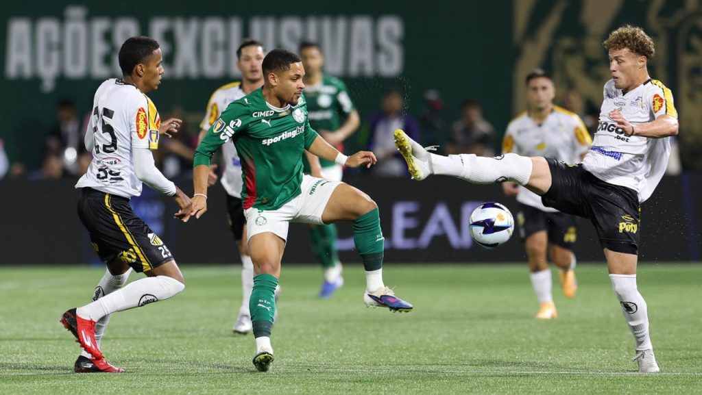 Novorizontino e Palmeiras decidem título do Campeonato Paulista