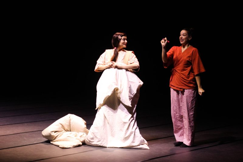 Espetáculo infantil “Lara e o Pássaro” chega ao palco do Sesc Santos